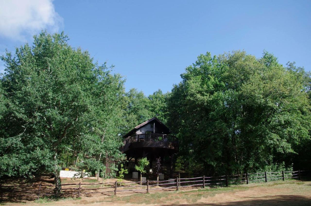 Cabane De La Mesange Auriac-du-Perigord Exterior photo